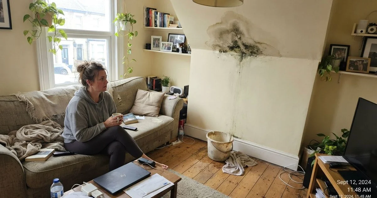 Roof leaks and mold: the health risks of ignoring water damage