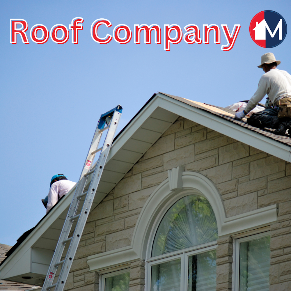 Modern Roofing