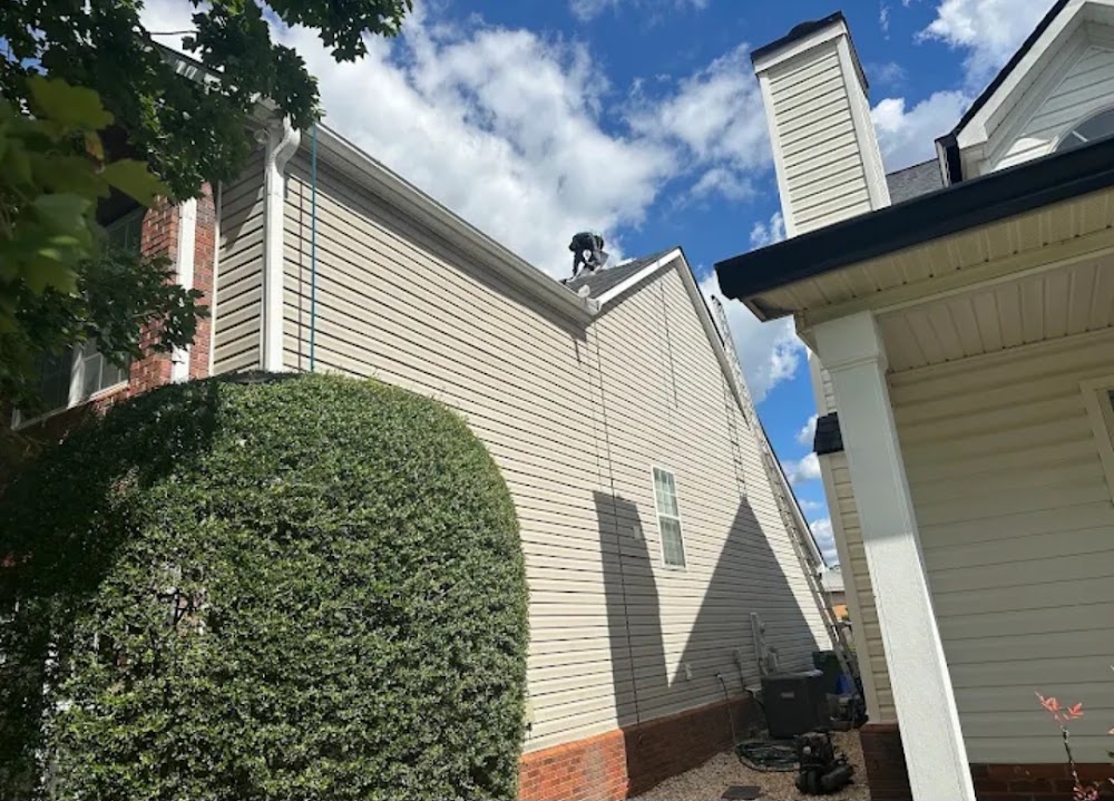 The Roof Queen