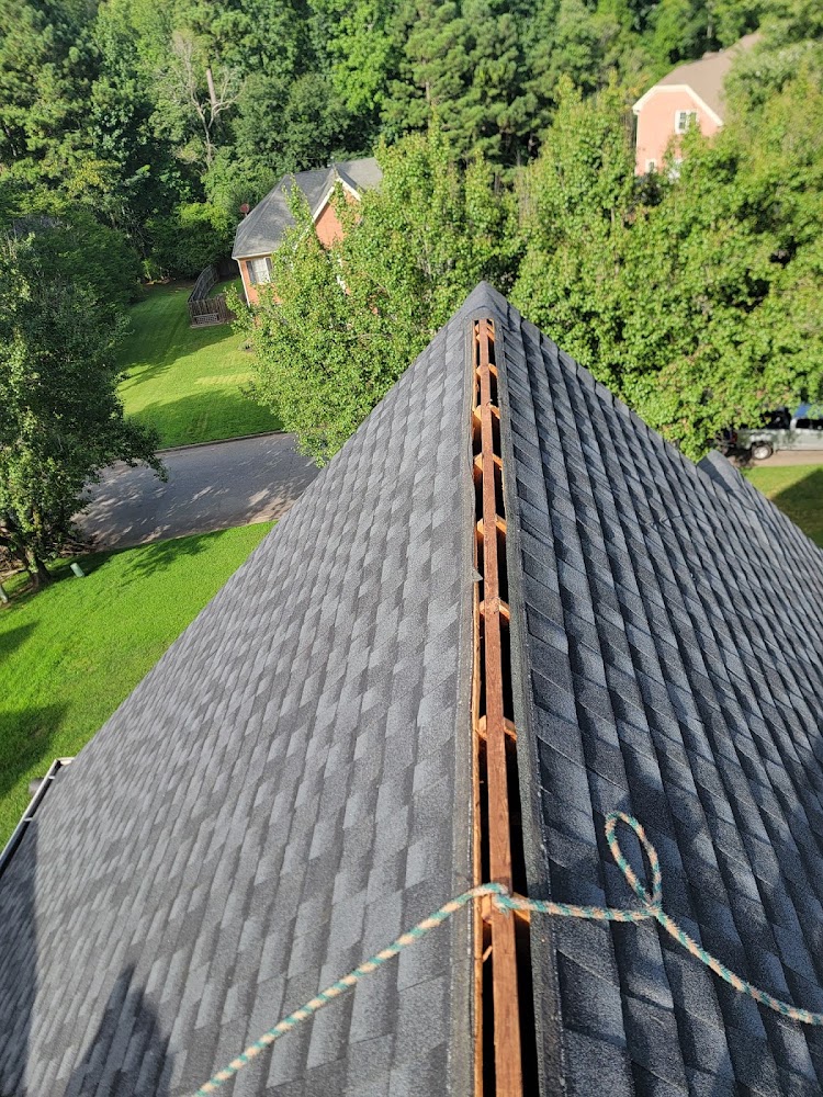 Blue Leaf Roofing