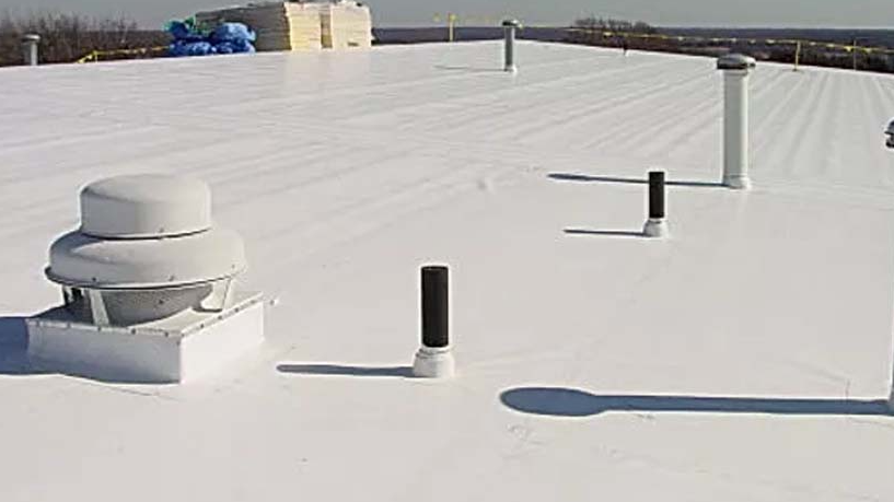 Dunlop Roofing & Consulting, LLC