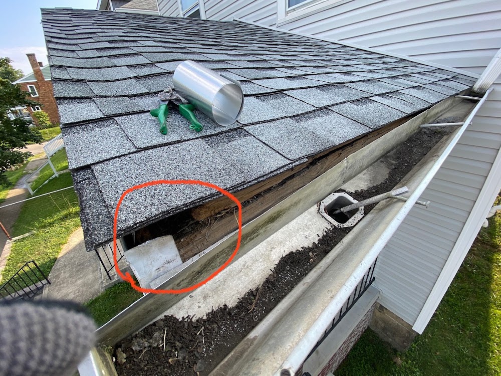 Mighty Dog Roofing